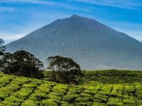 7 Mitos Gunung Kerinci dari Uhang Pandak Sampai Naga Raksasa