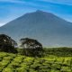 7 Mitos Gunung Kerinci dari Uhang Pandak Sampai Naga Raksasa