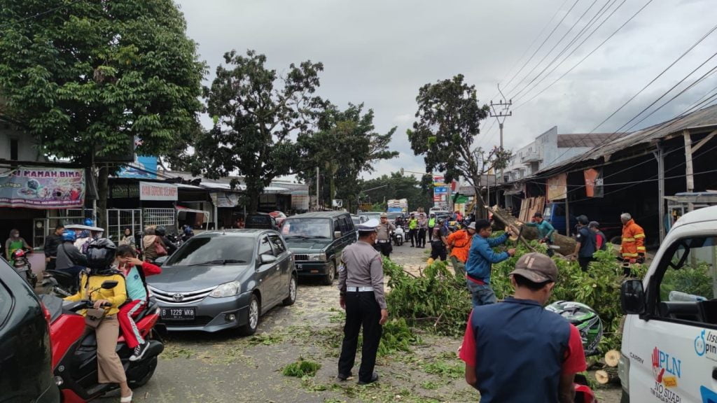 Respon Cepat, Polisi Evakuasi Pohon Tumbang