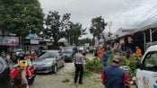 Respon Cepat, Polisi Evakuasi Pohon Tumbang