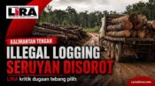 Foto ilustrasi Truk membawa kayu yang diduga berkaitan dengan aktivitas illegal logging.