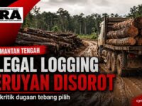 Foto ilustrasi Truk membawa kayu yang diduga berkaitan dengan aktivitas illegal logging.