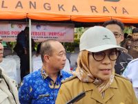 Pj Wali Kota Palangka Raya, Hera Nugrahayu