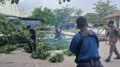 Damkar dan Satpol PP Kota Palangka Raya saat mengevakuasi pohon tumbang di Pasar Kahayan.