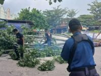 Damkar dan Satpol PP Kota Palangka Raya saat mengevakuasi pohon tumbang di Pasar Kahayan.