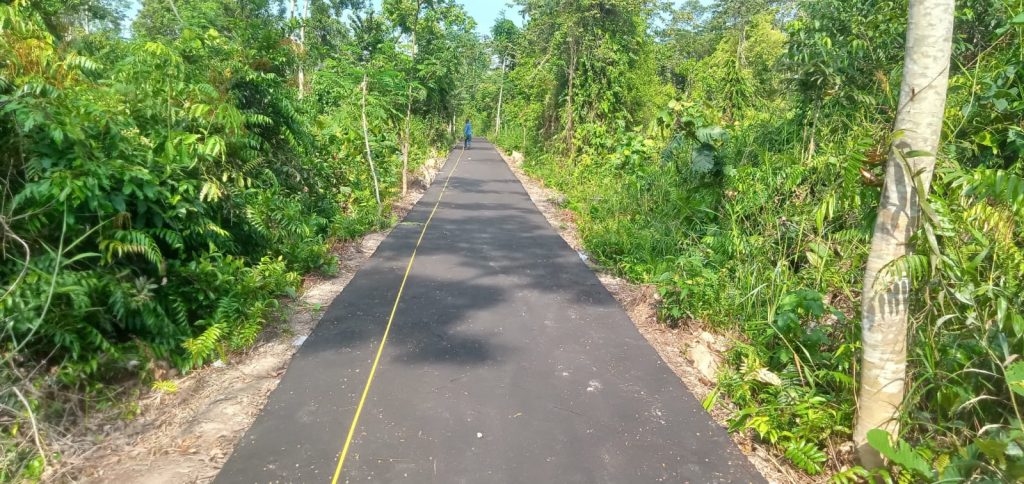 Pembangunan Akses Jalan Desa di Kapuas Terus di Genjot