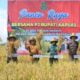 Pj Bupati Kapuas Hadiri Panen Raya Padi di Desa Terusan Makmur