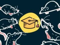 Kejari Palangka Raya Gledah Rumah Mantan Pejabat dan Staf Pasca Sarjana UPR