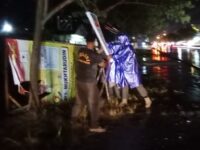 Hujan Deras, Satpol PP Palangka Raya Bongkar Ratusan APK Pemilu 2024