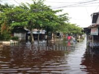 [Video] Banjir Kalteng, Ribuan Orang di Palangka Raya Terdampak