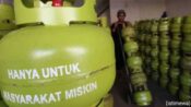 HET Gas LPG Bersubsidi 3 Kg di Palangka Raya Tak Kunjung Normal, Pemerintah Dinilai Kurang Tegas
