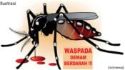 Waspada, Penderita DBD di Jawa Timur Diangka 3.638 Kasus