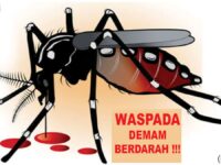 Waspada, Penderita DBD di Jawa Timur Diangka 3.638 Kasus