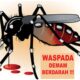 Waspada, Penderita DBD di Jawa Timur Diangka 3.638 Kasus