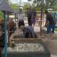 Makam Bayi Korban Dugaan Malapraktik RSUD Doris Sylvanus Dibongkar