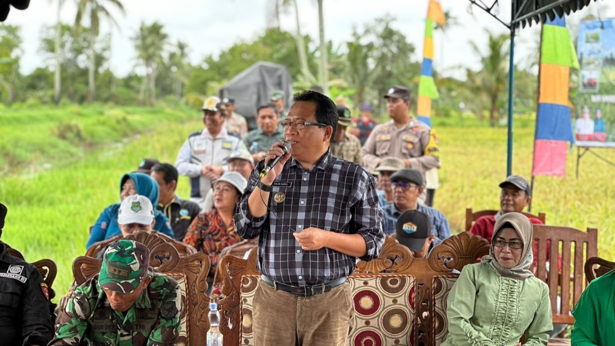 Panen Raya Padi, Erlin Hardi: Kapuas Penyuplai Beras Kalteng