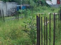 Kacau! Proyek Pembangunan Asrama Mahasiswa Pulpis di Palangka Raya Mangkrak