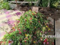 Dipicu Dendam, Bocah 13 Tahun Tega Bunuh Ustadzah di Palangka Raya