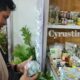 Produk UMKM Olahan Asli dari Kabupaten Kapuas Diperkenalkan di Kalteng Expo 2024