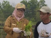 Pemko Palangka Raya Fokus Benahi Infrastruktur Pertanian untuk Dukung Ketahanan Pangan