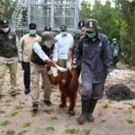 Menteri Kehutanan Resmikan Kawasan Rehabilitasi Orangutan di Nyaru Menteng Kalimantan Tengah