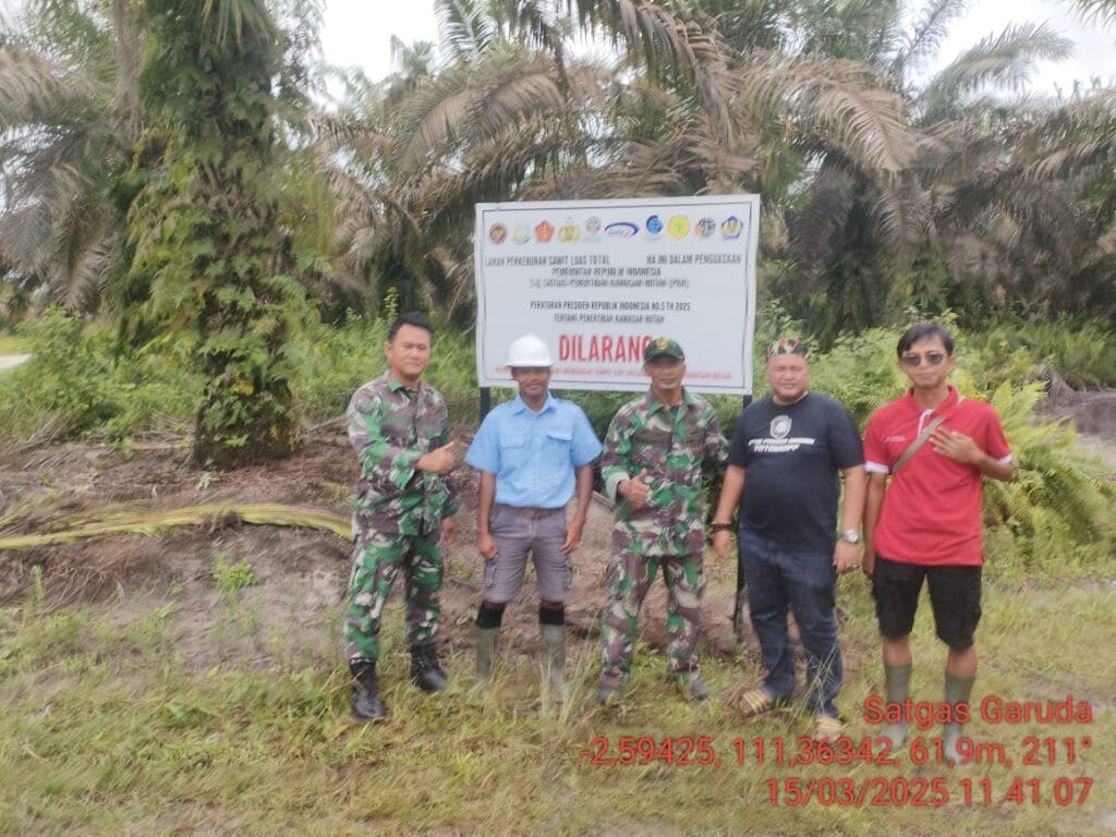 312.000 Hektar Sawit Berdiri di Kawasan Hutan Kalimantan Tengah, Perusahaan Bakal Dikenai Denda