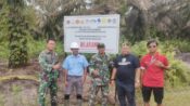 312.000 Hektar Sawit Berdiri di Kawasan Hutan Kalimantan Tengah, Perusahaan Bakal Dikenai Denda
