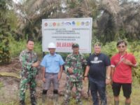 312.000 Hektar Sawit Berdiri di Kawasan Hutan Kalimantan Tengah, Perusahaan Bakal Dikenai Denda