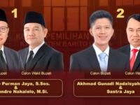 Anggota DPR Usul Putusan MK Soal Diskualifikasi Pilkada Barito Utara Dibawa ke Ranah Pidana