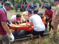 Karyawan Perkebunan Sawit Ditemukan Tewas Tenggelam di Kolam Air