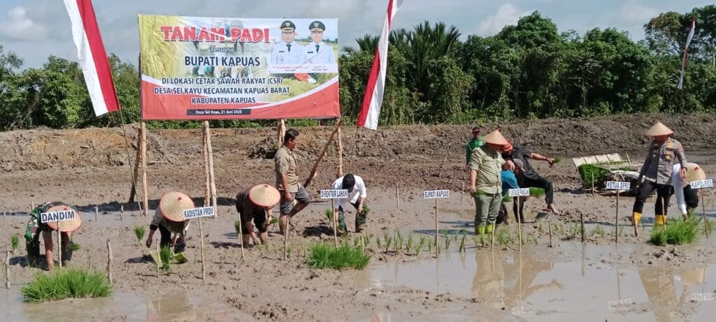Bupati Kapuas Tanam Padi dan Serahkan Bantuan Pertanian di Desa Sei Kayu