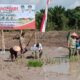 Bupati Kapuas Tanam Padi dan Serahkan Bantuan Pertanian di Desa Sei Kayu