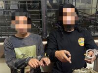 Bawa Ganja 3,8 Kg Gunakan Vespa, Dua Orang Ditangkap Polisi
