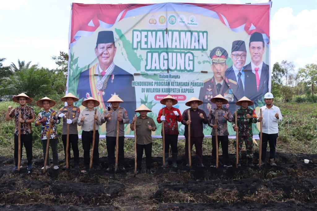 Bupati Kapuas Pimpin Panen Raya Jagung Serentak, Ikuti Arahan Presiden Lewat Zoom