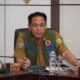 BPBD Catat 33 Karhutla Terjadi di Palangka Raya, 10,69 Ha Lahan Terbakar
