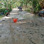 Proyek Semenisasi Desa Teluk Palinget Kapuas Dikeluhkan Warga: Tidak Transparan Kualitas Buruk