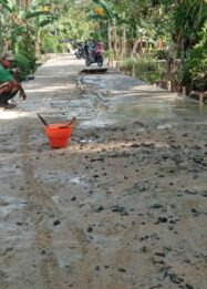 Proyek Semenisasi Desa Teluk Palinget Kapuas Dikeluhkan Warga: Tidak Transparan Kualitas Buruk