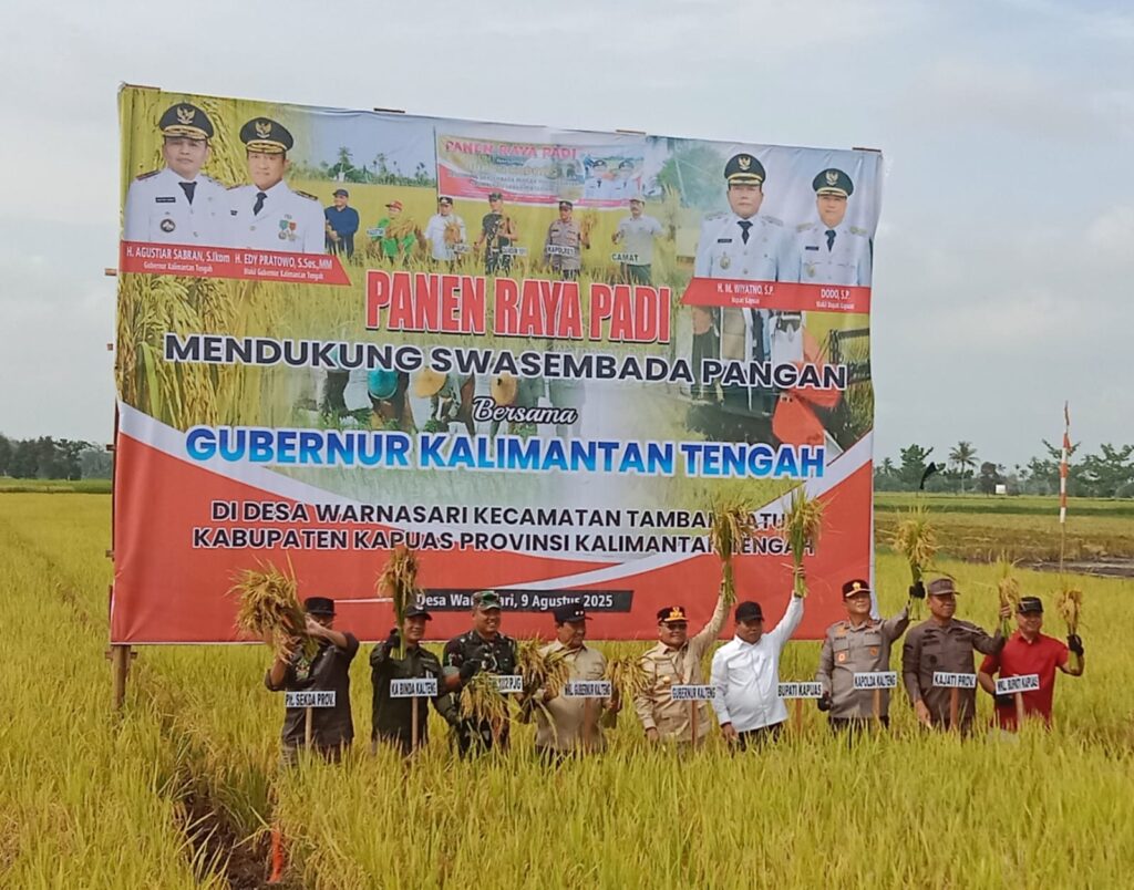 Dukung Swasembada Pangan, Gubenur Kalteng Bersama Bupati Kapuas Panen Raya Padi di Desa Warnasari