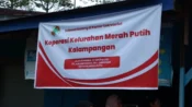 Koperasi Merah Putih Jadi Mitra Penyaluran Bantuan Sosial Kalteng