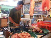 Pengamat Ekonomi Soroti Harga Daging Sapi Palangka Raya Tembus Rp145 Ribu