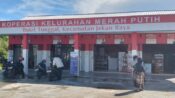 Baru 13 Koperasi Merah Putih Kalteng Aktif Beroperasi