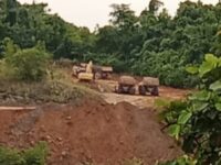 Komunitas Adat Barito Timur Terancam Akibat Aktivitas Tambang