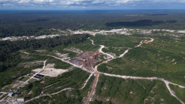 Krisis Ekologi, Aktivitas HTI Picu Deforestasi di DAS Kapuas Kalimantan Tengah