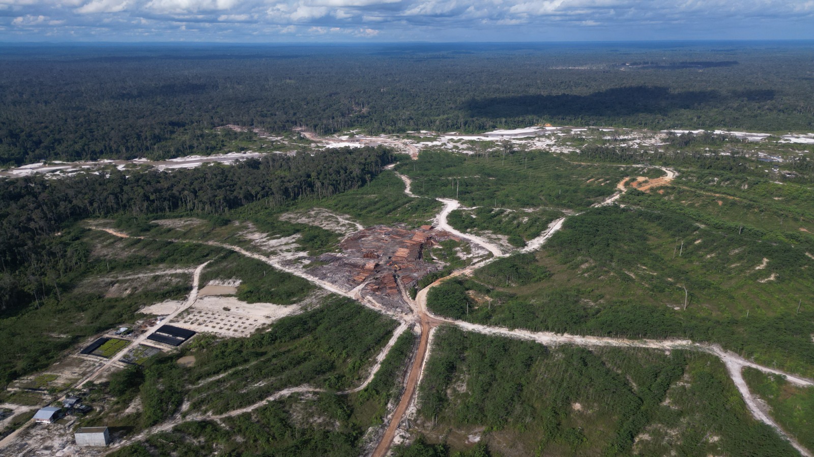 Krisis Ekologi, Aktivitas HTI Picu Deforestasi di DAS Kapuas Kalimantan Tengah