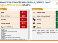 Inflasi Kalteng Capai 4,56 Persen di Bulan Mei