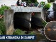 Foto kerangka mirip manusia yang ditemukan di bawah jembatan, Baamang, Sampit.
