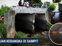 Foto kerangka mirip manusia yang ditemukan di bawah jembatan, Baamang, Sampit.