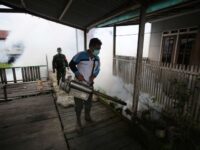 Kasus DBD, Puskesmas Fogging Kawasan Mendawai Palangka Raya