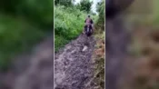 Tangkapan Layar Video Warga Desa Soren Kotim memperlihatkan kondisi jalan utama desa yang rusak parah dan belum mendapat perbaikan dari pemerintah terkait.