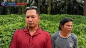 Foto warga dan kawasan perkebunan sawit eks PT BJAP di Seruyan Tengah yang menjadi polemik karena dugaan lahan masyarakat ikut terdampak penyitaan.